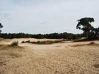 IMG_20240804_105856536