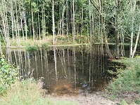 IMG_20240804_104747401