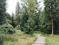 IMG_20240804_102613860