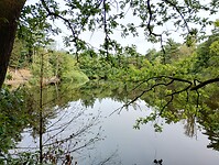 IMG_20240804_102148687_HDR