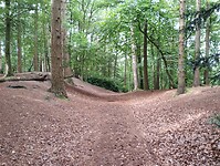 IMG_20240804_101704658