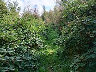 IMG_20240923_113822289_HDR