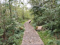 IMG_20240923_113257921