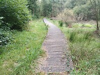 IMG_20240923_112421897