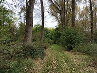 IMG_20240923_105241706