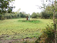 IMG_20240923_093934993