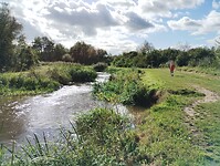 IMG_20240928_144551712