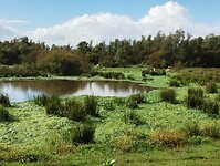 IMG_20240928_134738352