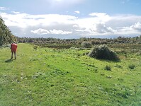 IMG_20240928_134603799