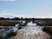IMG_20240928_124617802