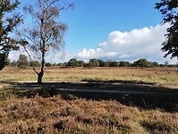 IMG_20240928_121544627