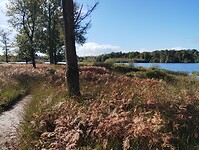 IMG_20240928_121154508