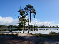 IMG_20240928_120105150_HDR