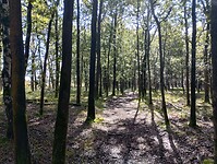 IMG_20240928_115837839_HDR