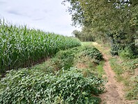 IMG_20240929_150842220_HDR