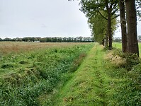 IMG_20240929_141450640_HDR