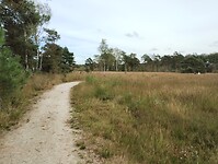 IMG_20240929_135959684