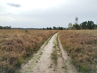 IMG_20240929_131444038