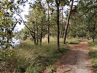 IMG_20240929_125906716