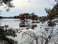 IMG_20240929_125852035_HDR