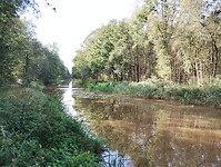 IMG_20240929_112005850