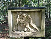IMG_20240929_104736285