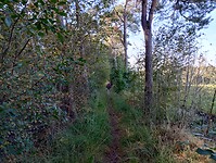 IMG_20240929_102941118_HDR