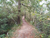 IMG_20240930_123200221