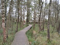 IMG_20240930_120600926