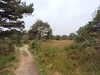 IMG_20240930_120351771