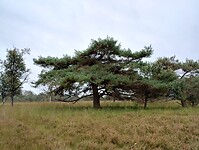 IMG_20240930_120202671_HDR
