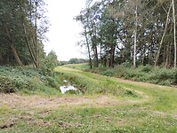 IMG_20240930_104006056
