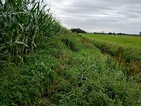 IMG_20240930_095810005_HDR