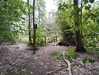 IMG_20240930_095256184