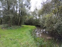 IMG_20240930_093038341