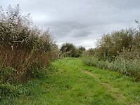 IMG_20240930_091802621_HDR