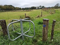 IMG_20240930_091158926