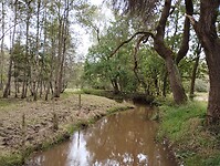 IMG_20241001_142609521