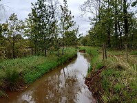 IMG_20241001_132134756_HDR