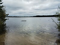 IMG_20241001_120203166