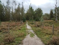 IMG_20241001_115454763
