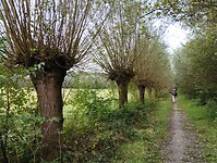IMG_20241001_114305896