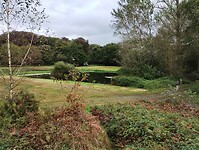 IMG_20241001_113819657