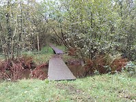 IMG_20241001_100747137