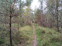 IMG_20241001_095257829