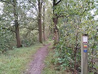 IMG_20241001_094344998