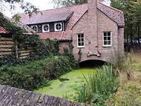 IMG_20241001_090007405