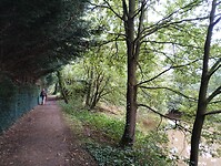 IMG_20241002_155536247