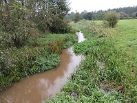 IMG_20241002_145918831