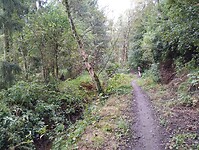 IMG_20241002_145031466